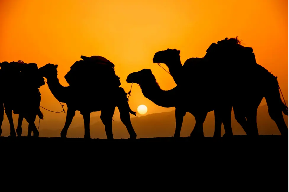 Serdo, Eli Dar, Dobi and Mount Musa Ali